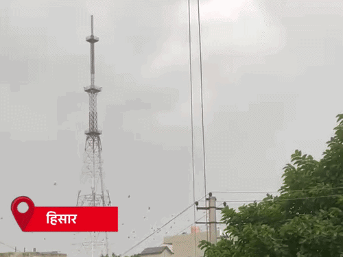 हरियाणा के 5 जिलों में तूफान:सिरसा-फतेहाबाद-झज्जर में ओले गिरे; हिसार में काली घटा छाने के बाद तेज बारिश