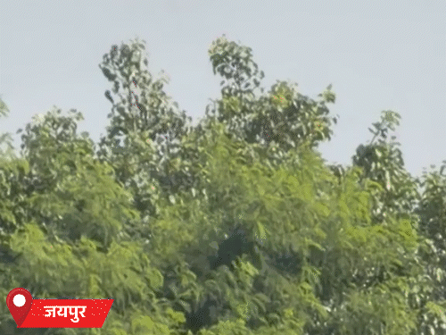 राजस्थान में 12 अक्टूबर से बारिश की संभावना:3 डिग्री तक गिर सकता है तापमान; दिन में तेज गर्मी, रात में ठंडक बढ़ी