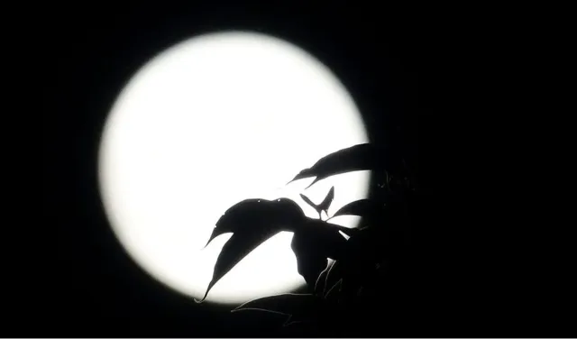 Sharad Purnima 2026: शरद पूर्णिमा पर 25 अक्टूबर की रात चंद्रमा की पूजा और 26 अक्टूबर को होगा स्नान-दान