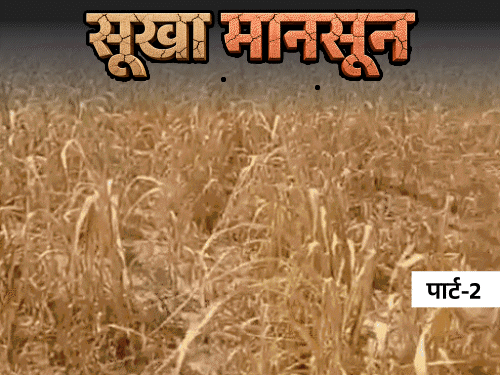 कमजोर मानसून से बर्बाद, अब देनदारों के फोन बज रहे:बच्चों से मजदूरों की जगह करवा रहे काम, चारे लायक भी नहीं बचे खेत