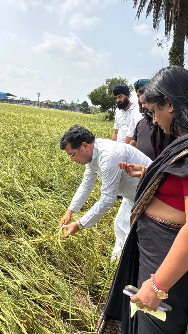 ओलावृष्टि से बर्बाद फसलों का अधिकारियो संग मौका मुआईना करने किसानों के बीच पहुंचे विधायक शिव अरोरा