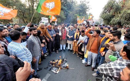 भाजपा ने विपक्ष के नेता राहुल गांधी का पुतला दहन किया