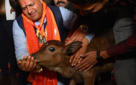 गौ रक्षा दल ने विकास शर्मा को दिया समर्थन