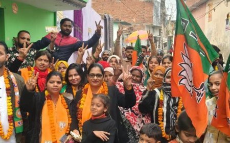 महिला मोर्चा की जिला महामंत्री ने मेयर प्रत्याशी के लिए घर घर जाकर वोट मांगा