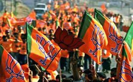 अधिकांश निकायों मे भाजपा को बढ़त, जनता ने लगायी सरकार के कार्यों पर मुहर:भट्ट