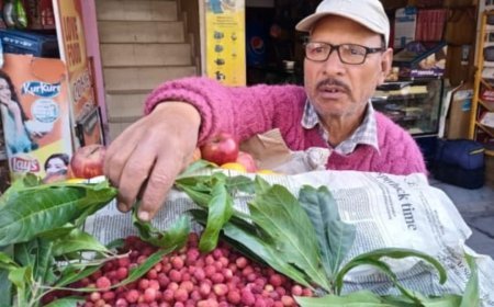 माघ" में ही बाजार में आ गया "चैत" का फल "काफल