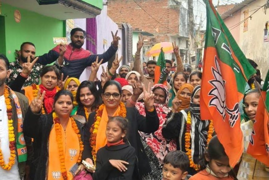 महिला मोर्चा की जिला महामंत्री ने मेयर प्रत्याशी के लिए घर घर जाकर वोट मांगा