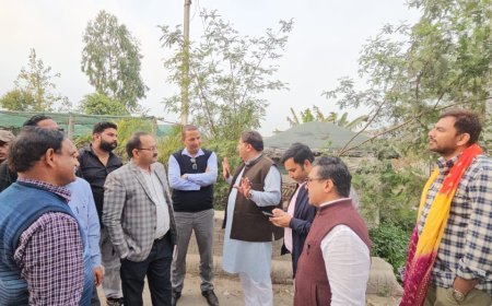 तीन पानी डाम का जल्द होगा उद्धार कई कालोनियों को जलभराव की समस्या से मिलेगी निजात,महापौर ने संयुक्ट टीम के साथ किया सर्वे