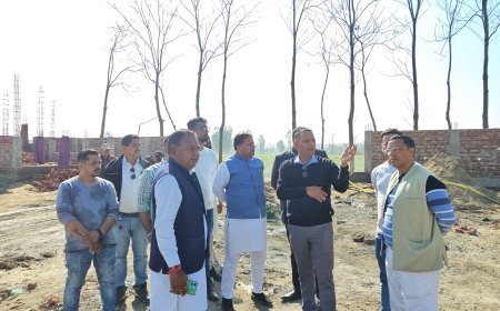 शहर में आवारा पशुओं से मिलेगी निजात: विकास