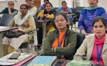 महापौर ने की डोर टू डोर कूड़ा कलेक्शन की समीक्षा