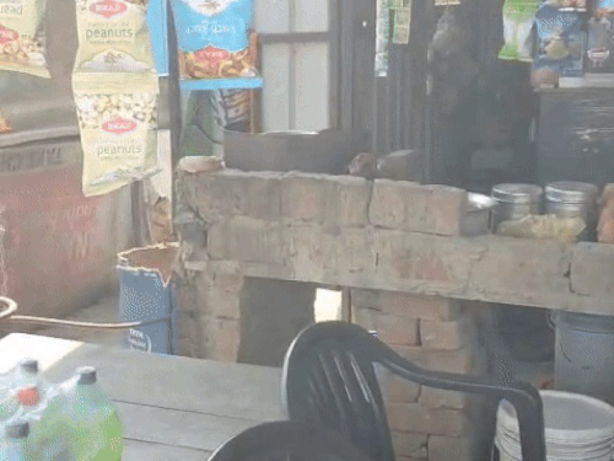 नारनौल में चोरों ने तीन दुकानों से की चोरी:ताला तोड़ हजारों रुपए का सामान व नकदी चुरा ले गए चोर