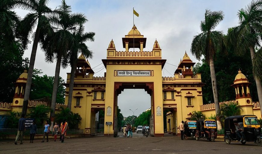Bhu Vacancy 2025: बीएचयू में नौकरी पाने का सुनहरा मौका, जानिए योग्यता और आवेदन की लास्ट डेट