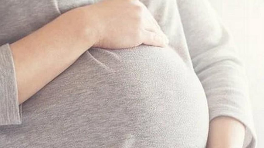 हाईकोर्ट ने दी गर्भपात की अनुमति, महिला ने की थी यह अपील, जानिए क्या है मामला...