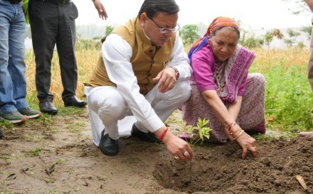 मुख्यमंत्री पुष्कर सिंह धामी ने अपनी माता के साथ किया वृक्षारोपण, दिया पर्यावरण संरक्षण का संदेश*