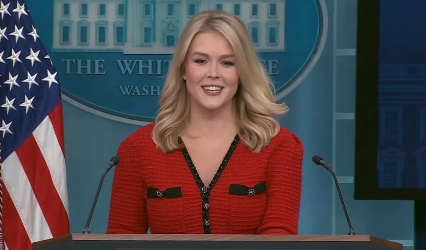 क्या White House की प्रेस सचिव Karoline Leavitt ने 'मेड इन चाइना' ड्रेस पहनी थी?