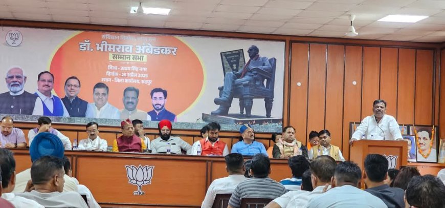 भाजपा जिला कार्यालय पर हुआ डॉ भीमराव अम्बेडकर सम्मान सभा का आयोजन*