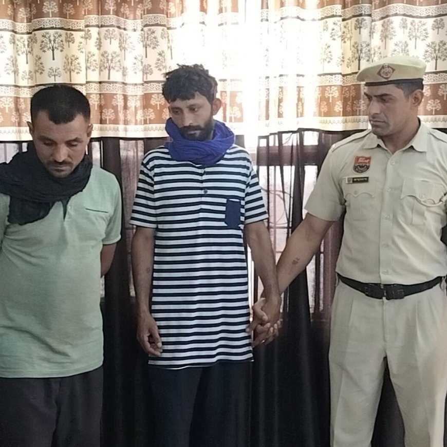 टोहाना में चोरी करने वाले 2 गिरफ्तार:28 बैग गेहूं और बाइक बरामद, पुलिस से बोले- नशे के लिए करते थे वारदात