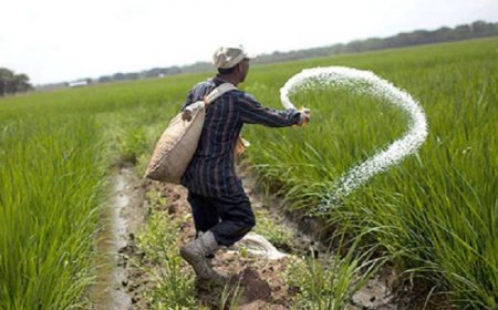 एमएसपी वृद्धि, कृषि ऋण में छूट बरकरार रखना, मोदी सरकार की किसानों को बड़ी सौगात: भट्ट*