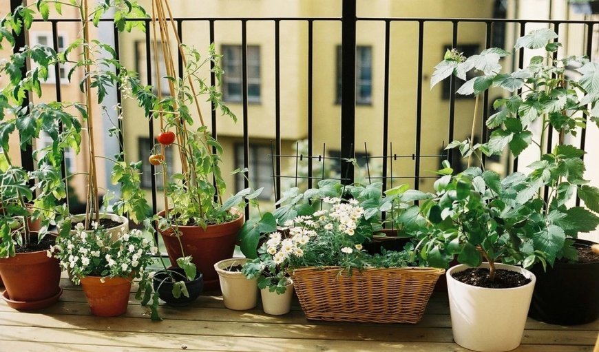 Vastu Tips For Terrace: घर की छत पर इन चीजों को रखने से दूर होती है निगेटिव एनर्जी, बढ़ती है सकारात्मक ऊर्जा
