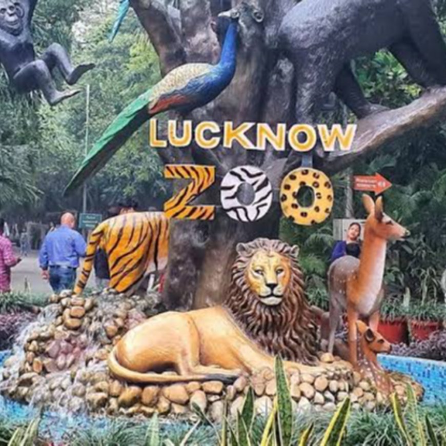 गोरखपुर में बाघिन की मौत के बाद लखनऊ में अलर्ट:बर्ड फ्लू का का कोई केस नहीं, 14 मई से अगले 7 दिन तक बंद रहेगा चिड़िया घर फैसला
