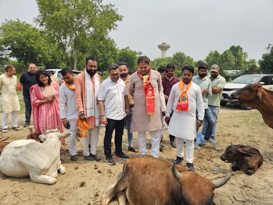 महापौर ने गौशाला में किया गौ पूजन