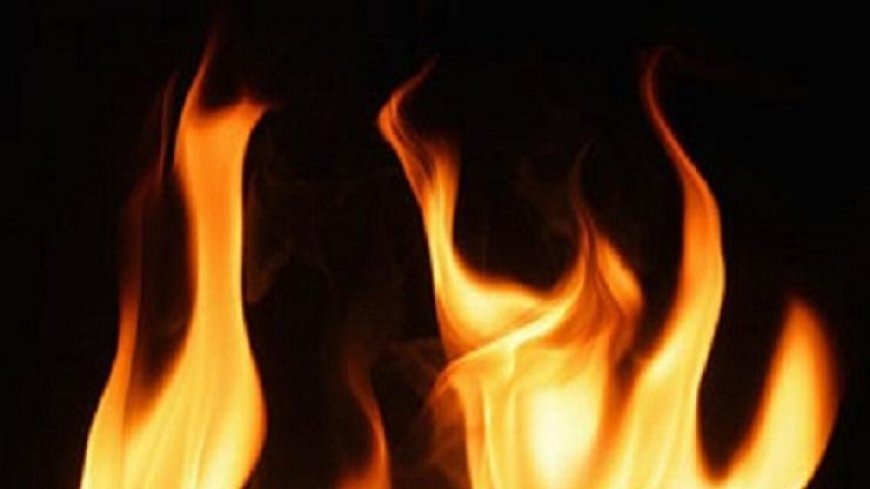 दिल्ली के बवाना में फैक्टरी में भीषण आग लगने से हुआ विस्फोट, इमारत ढही