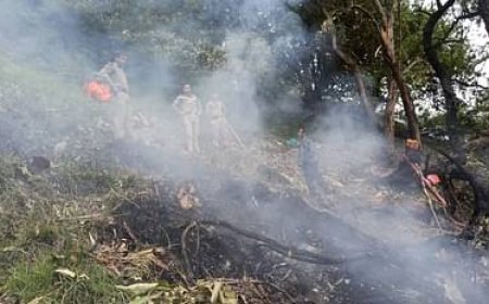 रुद्रप्रयाग हेलीकॉप्टर दुर्घटनाग्रस्त के जांच के आदेश, लापरवाही बरतने वालों के खिलाफ होगी सख्त कार्रवाई*