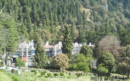 राजनीति के बजाय अदालत के निर्णय का सम्मान करे कांग्रेसी: भट्ट