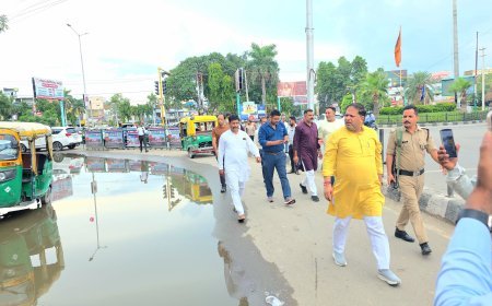 जलभराव से निपटने के लिए मेयर ने संयुक्त टीम के साथ किया सर्वे