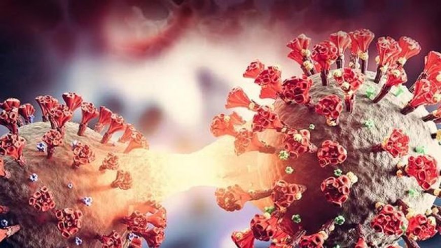 Coronavirus : देश में तेजी से बढ़ रहे कोरोना मामले, 24 घंटे में 363 नए केस आए सामने
