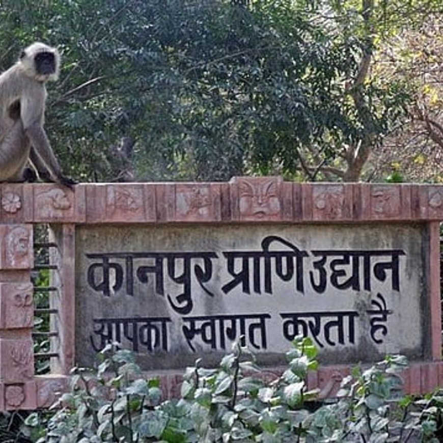 कानपुर चिड़ियाघर में बर्ड फ्लू की दूसरी रिपोर्ट का इंतजार:पक्षीघर 2 महीने तक बंद रहेगा, बाकी वन्य जीवों के बाड़े खोले जा सकते हैं