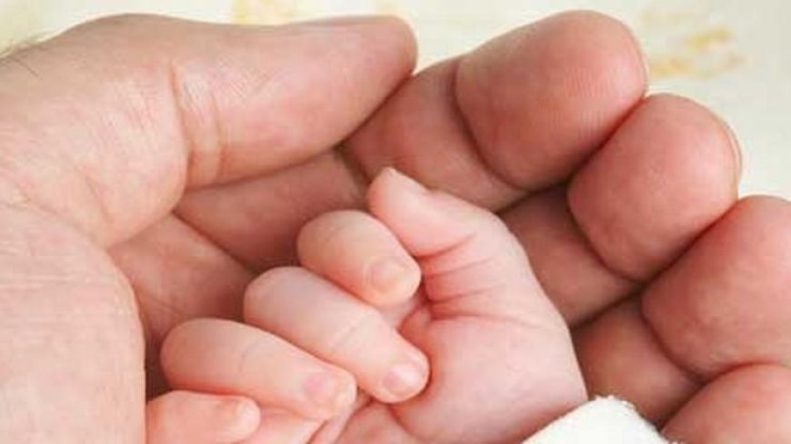 जापान में तेजी से घट रही जन्म दर, सरकार ने जारी किए आंकड़े