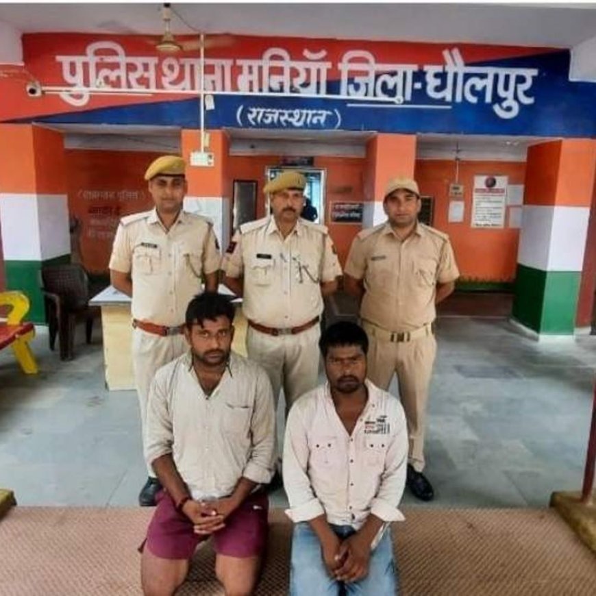 धौलपुर में ट्रक से 76 भैंस-पाड़े जब्त:मध्य प्रदेश के दो तस्कर गिरफ्तार, बूचड़खाने में बेचने के लिए ले जा रहे थे