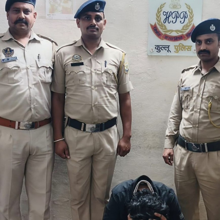 कुल्लू में महाराष्ट्र का युवक गिरफ्तार:चरस बरामद, सप्लाई करने जा रहा था, पुलिस को देख घबराया