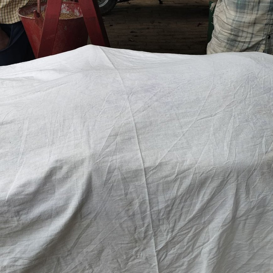 उदयपुर नहर में मिला लापता युवक का शव:सुलतानपुर में परिजनों ने लगाया हत्या का आरोप, पुलिस जांच में जुटी