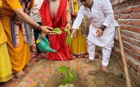 मां की स्मृति में चुघ परिवार ने शुरू किया पौधारोपण