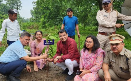 विधायक शिव अरोरा ने उत्तराखंड के लोकपर्व हरेला के अवसर पर टांडा रेंज में वन विभाग की टीम के साथ किया वृक्षारोपण*