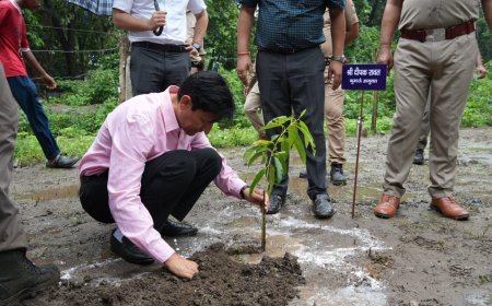 हरेला पर्व पर मंडलायुक्त, जिलाधिकारी एवं कुलपति ने किया पौधरोपण*