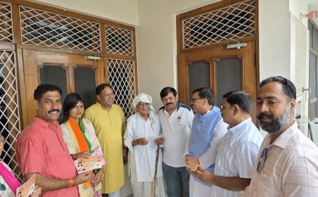 महापौर विकास शर्मा ने ग्राम मलसा में किया जनसंपर्क