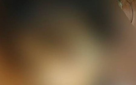 बाराबंकी में करंट लगने से बालिका की मौत:घर में अकेली थी बच्ची, कुलर का तार लगाते समय हुआ हादसा; पोस्टमार्टम कराने से परिजनों ने किया मना