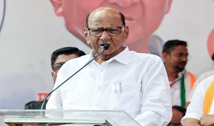 विचारधारा न पसंद आए तो लोगों को नक्सली कहने का चलन बढ़ा है: शरद पवार