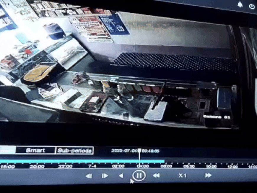 फतेहाबाद में दीवार तोड़ मोबाइल शॉप में घुसा चोर, VIDEO:लाखों रुपए की कीमत के मोबाइल चुरा ले गया; सीसीटीवी में आई फुटेज