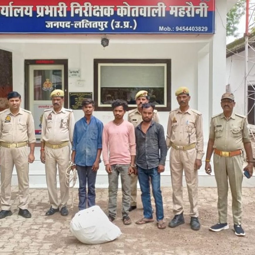 सोलर प्लांट से चोरी का खुलासा:ललितपुर में तीन आरोपी गिरफ्तार, डेढ़ लाख का सामान बरामद