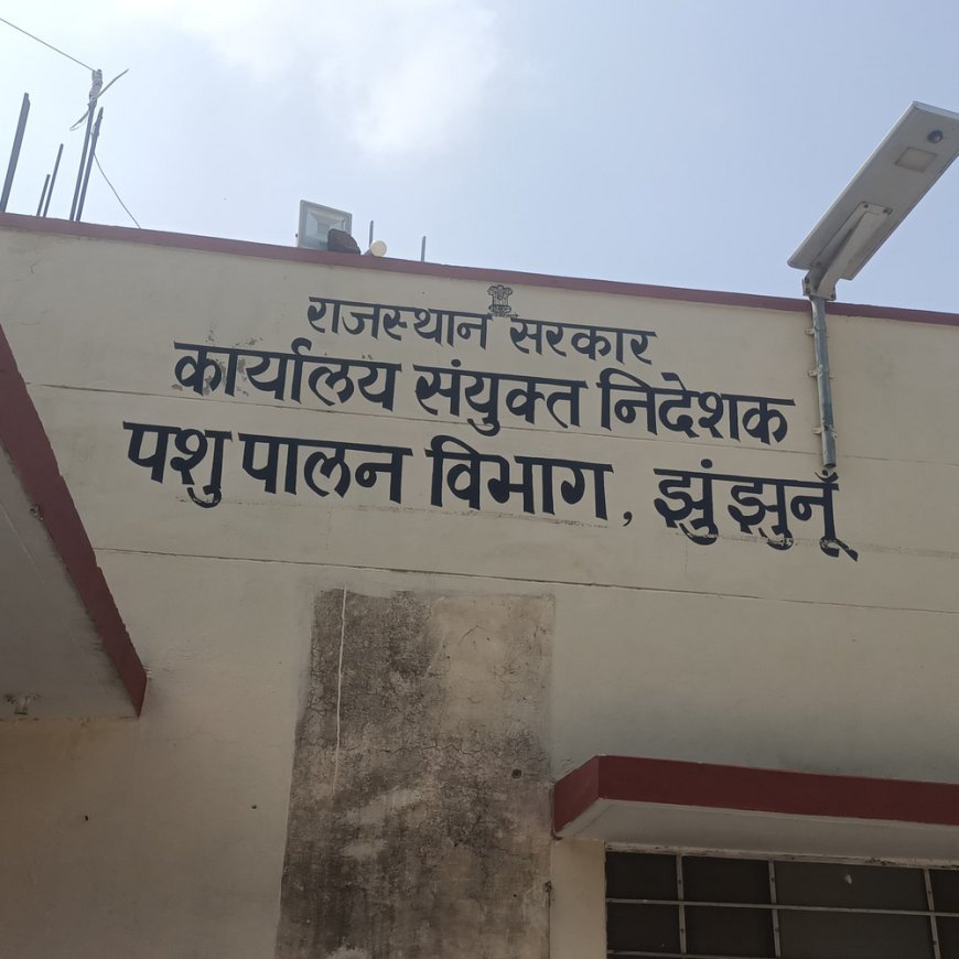अब घर पर ही मिल रहा पशुओं को इलाज:पशुपालकों के लिए वरदान बनी मोबाइल पशु चिकित्सा सेवा, अब तक 30126 पशुओं का उपचार, 1962 पर कॉल करते ही मिल रही घर बैठे सुविधा