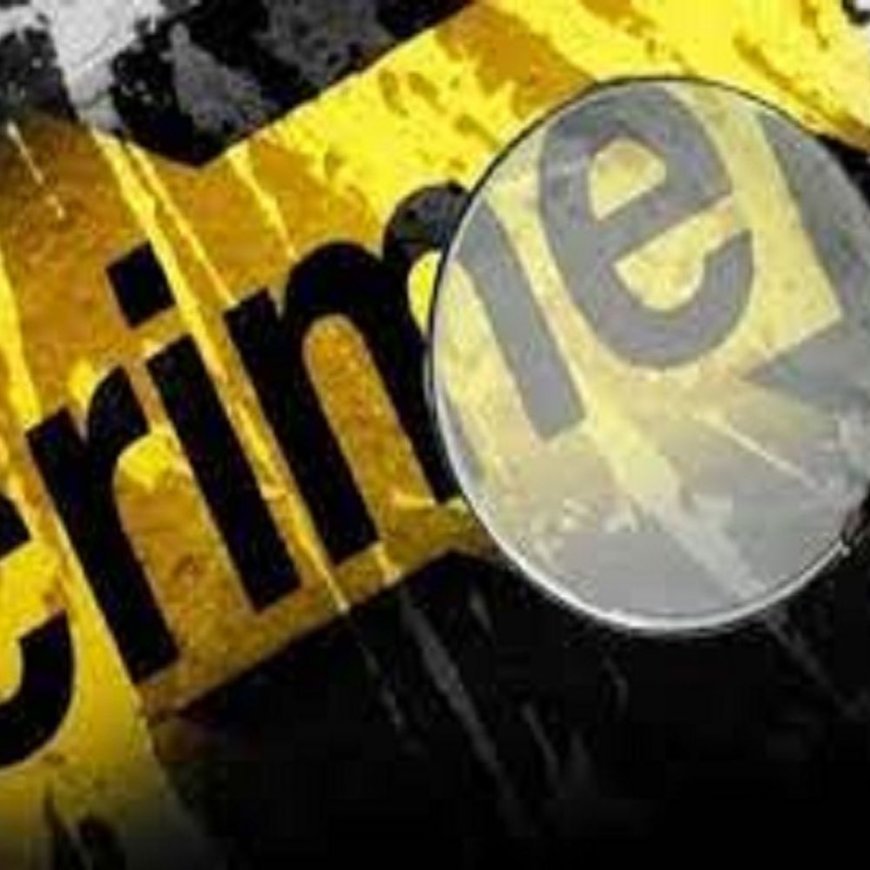 पलवल में चोर ने पुलिस की गाड़ियों में टक्कर मारी:दिल्ली से चुराकर लाया बोलेरो, अचानक यू-टर्न लेकर गाड़ी छोड़कर भागा