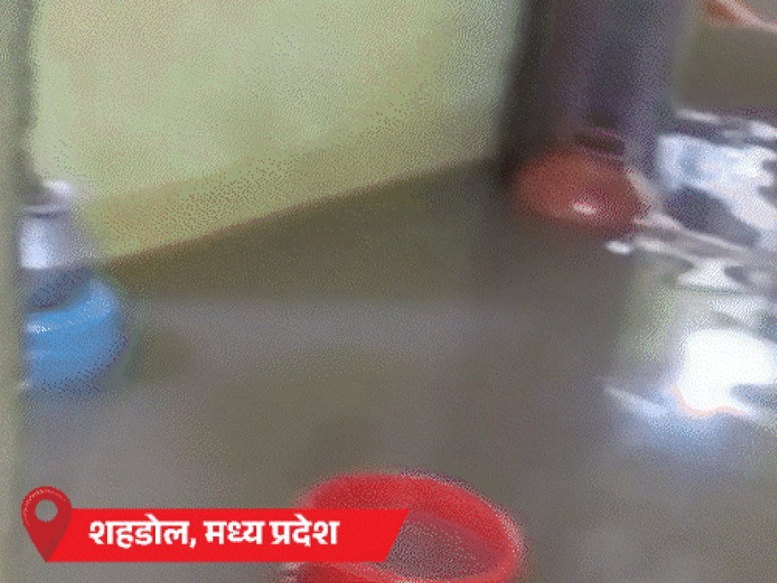 गुजरात के नवसारी में पूर्णा नदी में बाढ़ आई:MP में 2 युवक पानी में बहे, छत्तीसगढ़ के बिलासपुर में फ्लड; लैंडस्लाइड से बद्रीनाथ हाईवे बंद