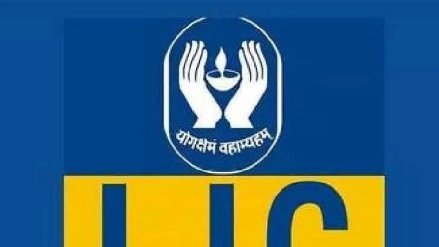 LIC में फिर IPO लाएगी सरकार, लेनदेन की बारीकियों पर काम करेगा विनिवेश विभाग