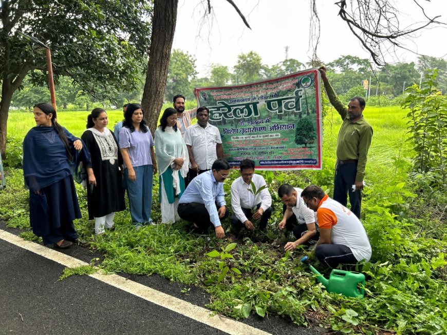 जनपद के विभिन्न क्षेत्रों, न्यायालय परिसरों एवं आस-पास के क्षेत्रों में लोक पर्व हरेला के शुभ अवसर पर पौधारोपण कार्यक्रम का आयोजन किया गया