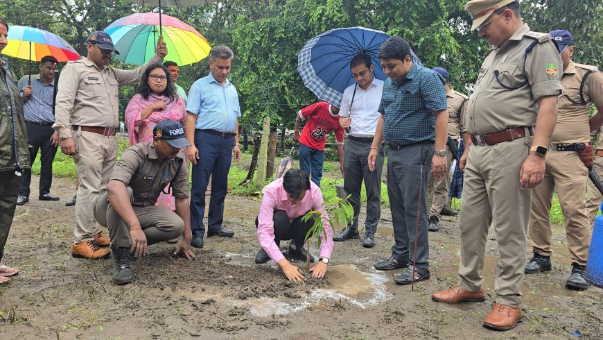 हरेला महापर्व पर स्पोर्टस स्टेडियम, कलेक्ट्रेट व कैम्प कार्यालय परिसर में जिलाधिकारी, मुख्य विकास अधिकारी , अपर जिलाधिकारी ने पौधरोपण कर कार्यक्रम का शुभारंभ किया