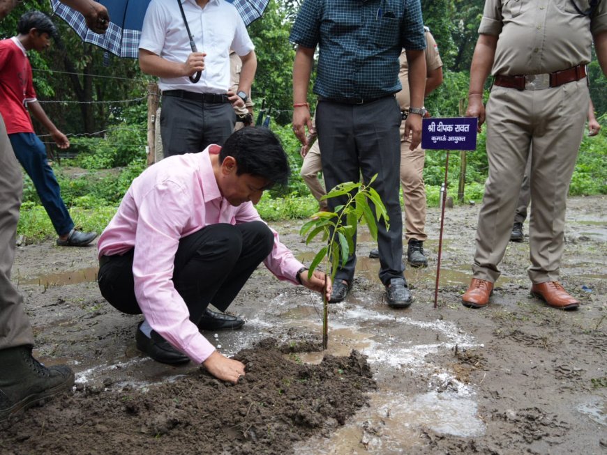 हरेला पर्व पर मंडलायुक्त, जिलाधिकारी एवं कुलपति ने किया पौधरोपण*